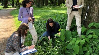 botanici al lavoro nel parco di Monza per la classificazione di piante e fiori