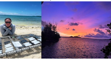 Plastics in Coral Reef Environments: Research in Hawai'i, (USA)and Tetiaroa (French Polynesia)