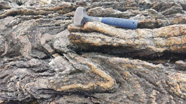 Deciphering the Taconic Orogeny in Newfoundland: