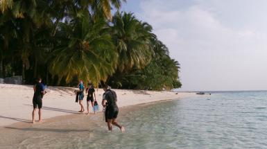  workshop di Ecologia Marina Tropicale