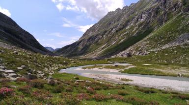 panorama montano