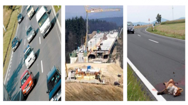 immagini di infrastrutture lineari