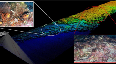 sea floor mapping