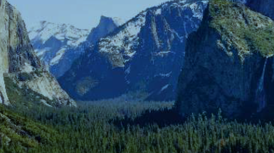 foto panoramica dello Yosemite Nationa Park USA