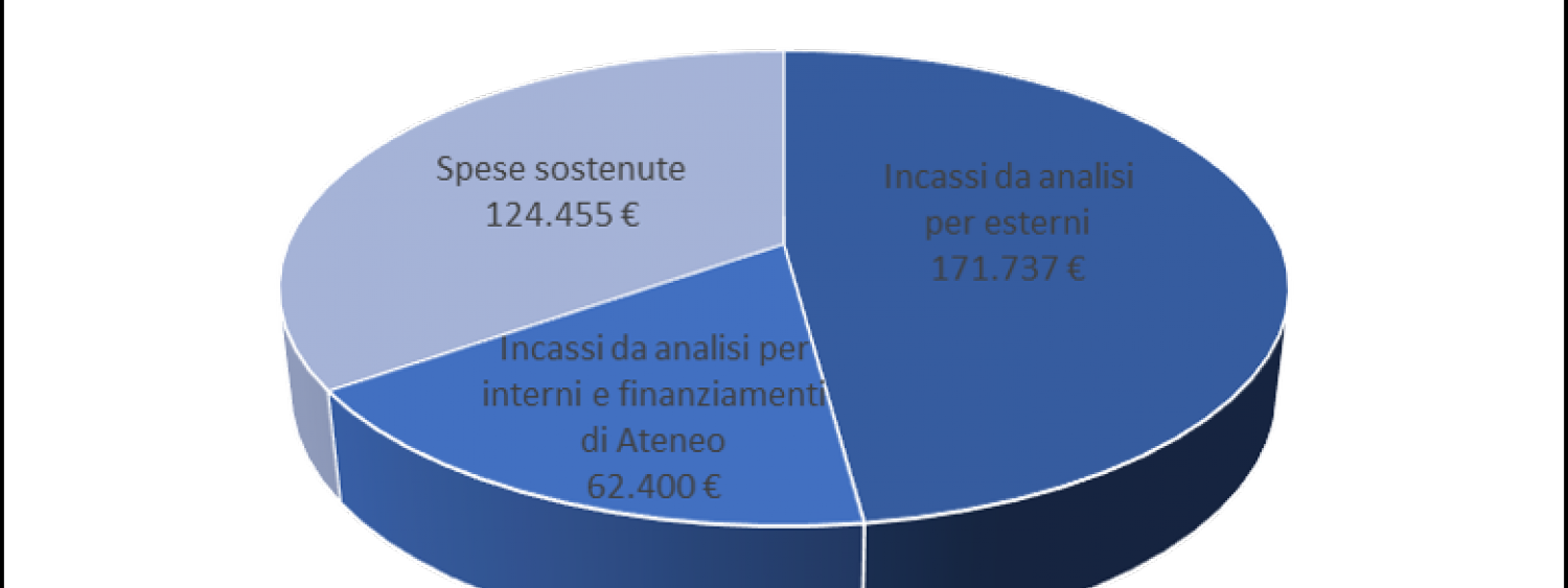 diagramma a torta incassi e spese complessivi