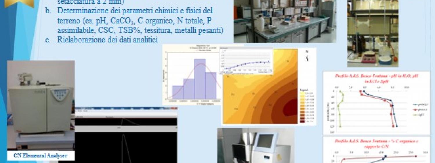 descrizione attività di laboratorio