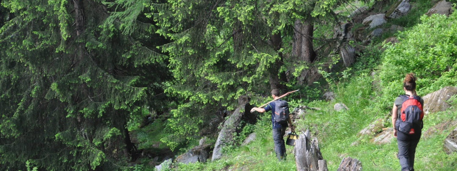 attività di campo nell'ambito delle attività del laboratorio di ecologia del paesaggio