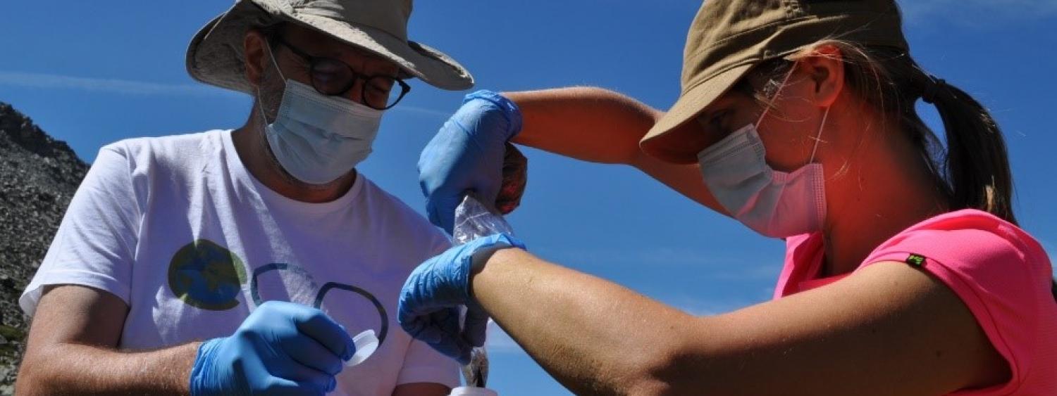 Foto di attività di terreno nell'ambito delle attività del laboratorio di ecologia del paesaggio