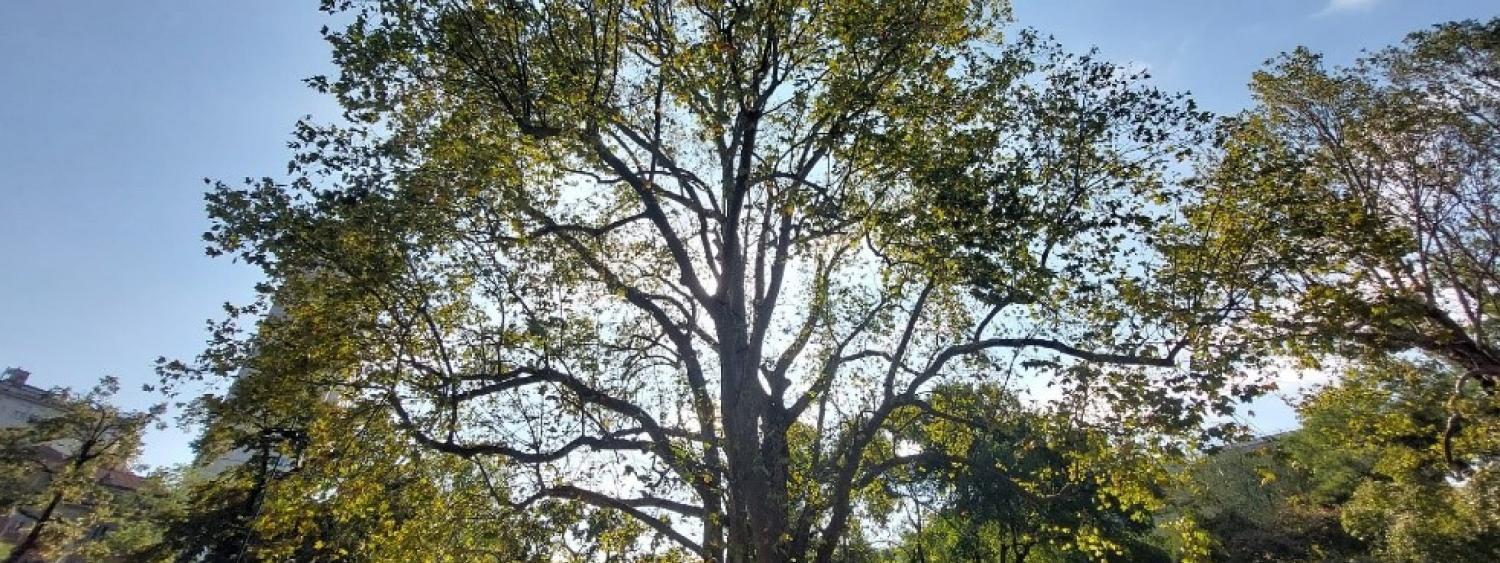 attività di campo nell'ambito delle attività del laboratorio di ecologia del paesaggio