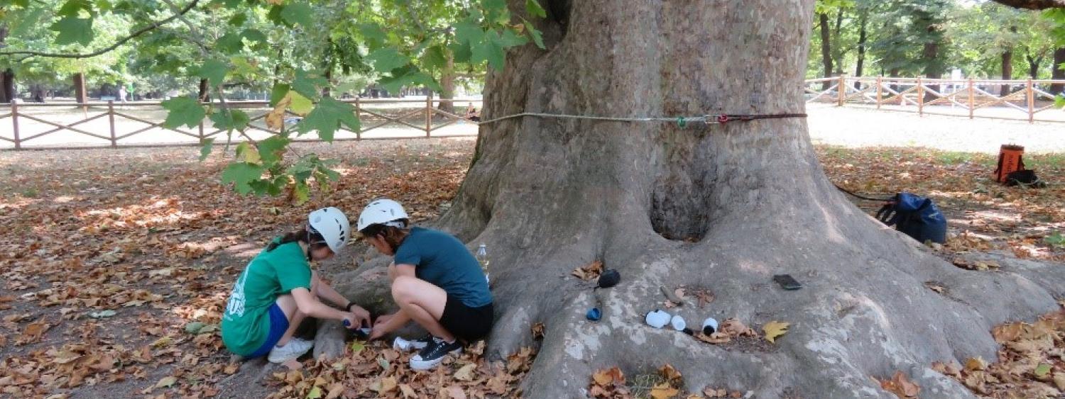 attività di campo nell'ambito delle attività del laboratorio di ecologia del paesaggio