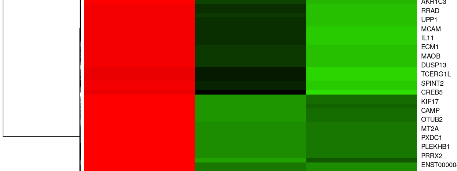 immagine di heatmap in tossiconogenomica