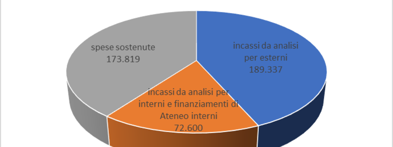 diagramma a torta con incassi e spese complessivi del laboratorio