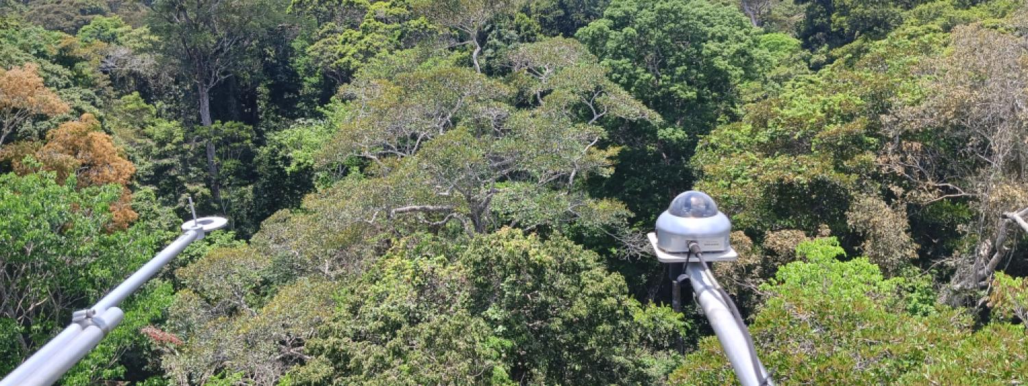 Strumenti di misura per la validazione di dati satellitari in Amazzonia_Foto_Roberto Colombo.jpg