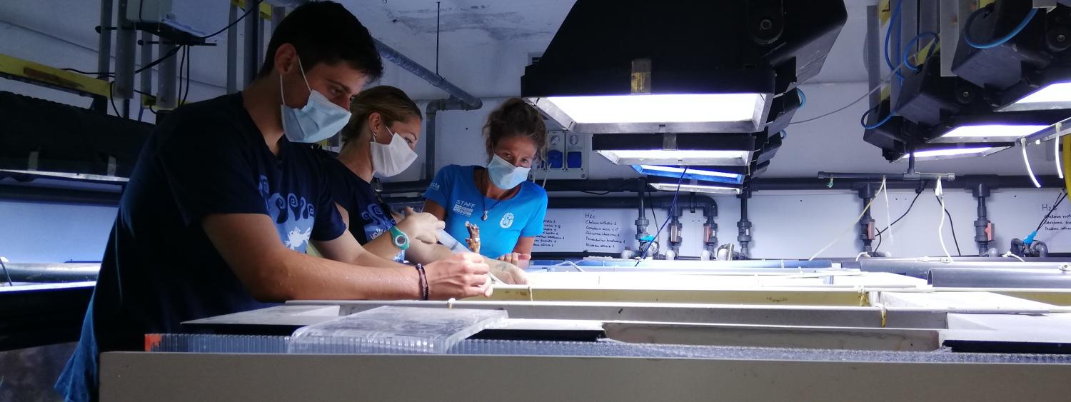 dottorandi disat al lavoro all'acquario di genova