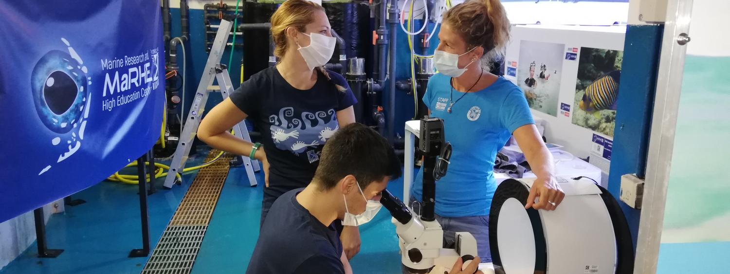 dottorandi disat al lavoro all'acquario di genova