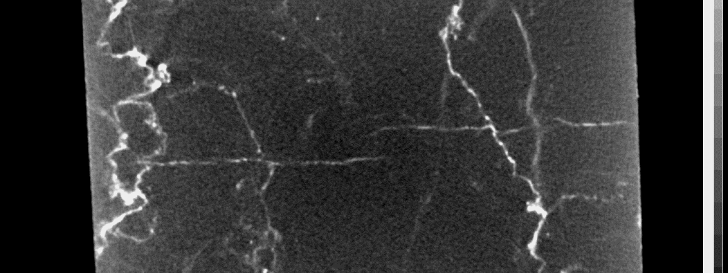 Slice of stylolitic limestone, with porous system impregntaed by Hg