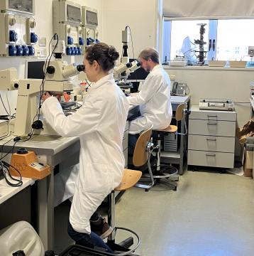 persone al lavoro al microscopio nel laboratorio di BIOECO vegetale