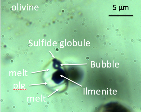 microfotografia di inclusione vetrosa in olivina