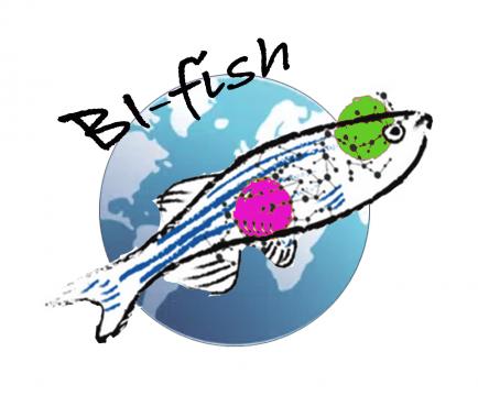 Logo Bi-fish
