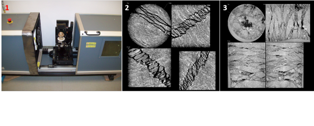 microCT