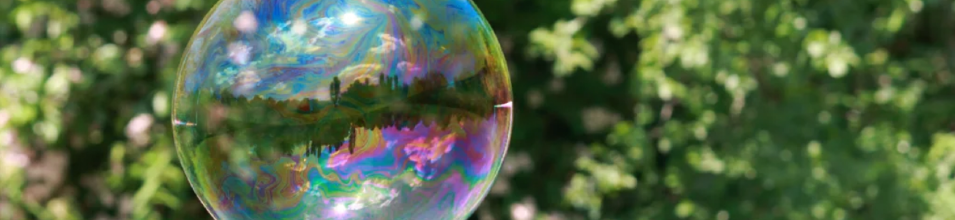 world in a bubble